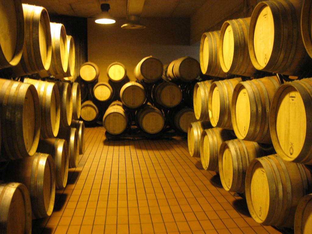 Montevibiano's red wine is stored in these wooden barrels called barriques to further ferment and to enhance the flavor.